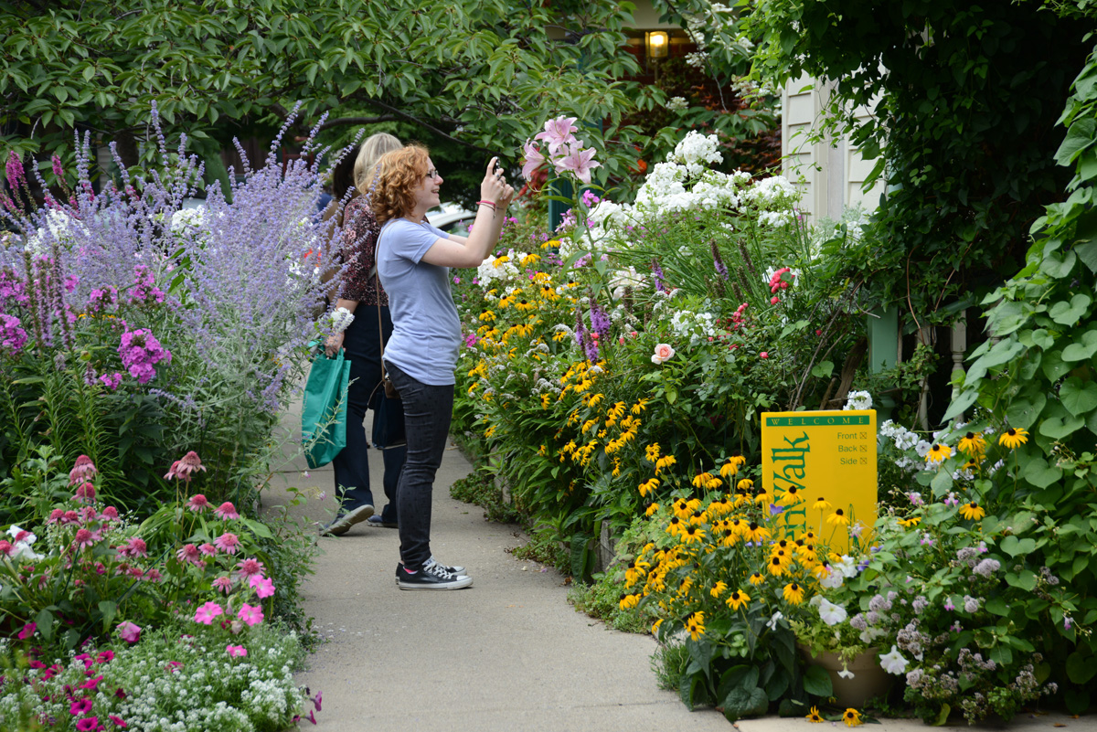 A person taking photos of blooming flowers in a garden in Buffalo, NY