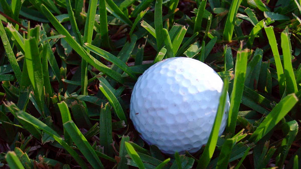Golf ball sitting in the grass