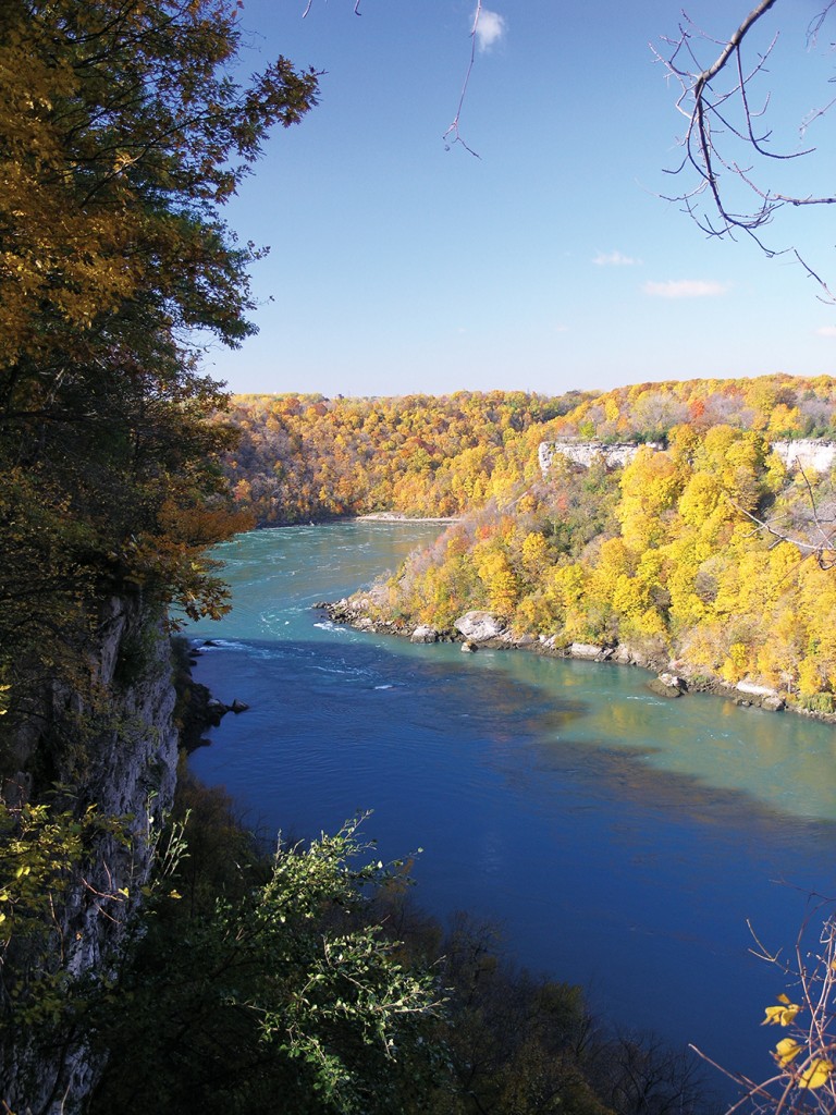 Niagara Gorge Autumn