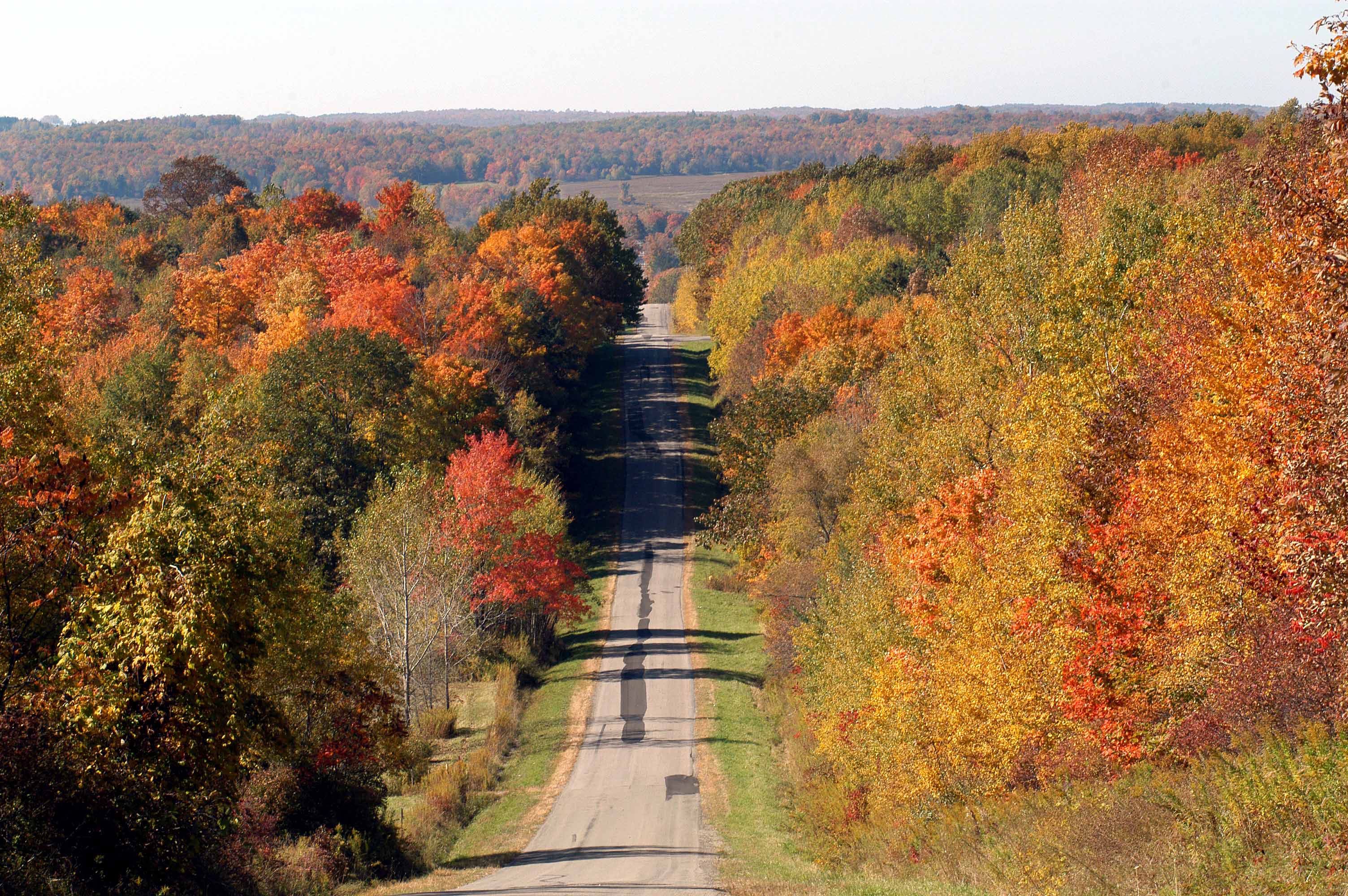Autumn_Road