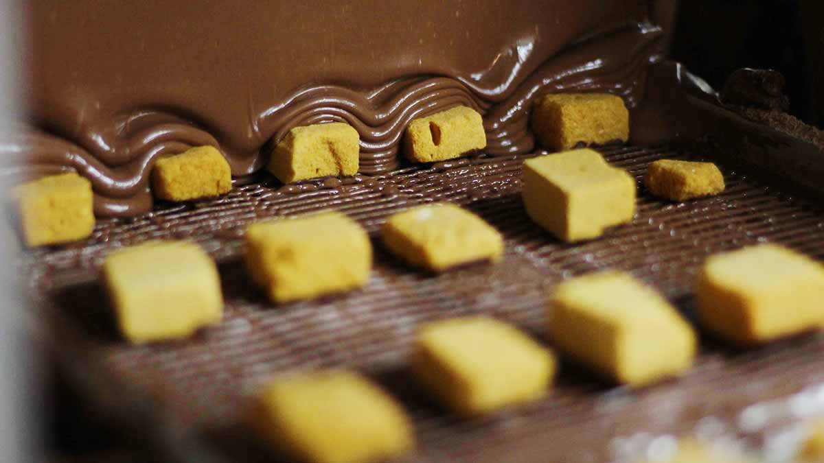 World Famous Sponge Candy by Watson's in Buffalo, NY – Watson's Chocolates