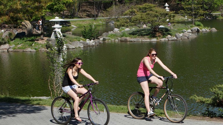 Japanese Garden in Delaware Park