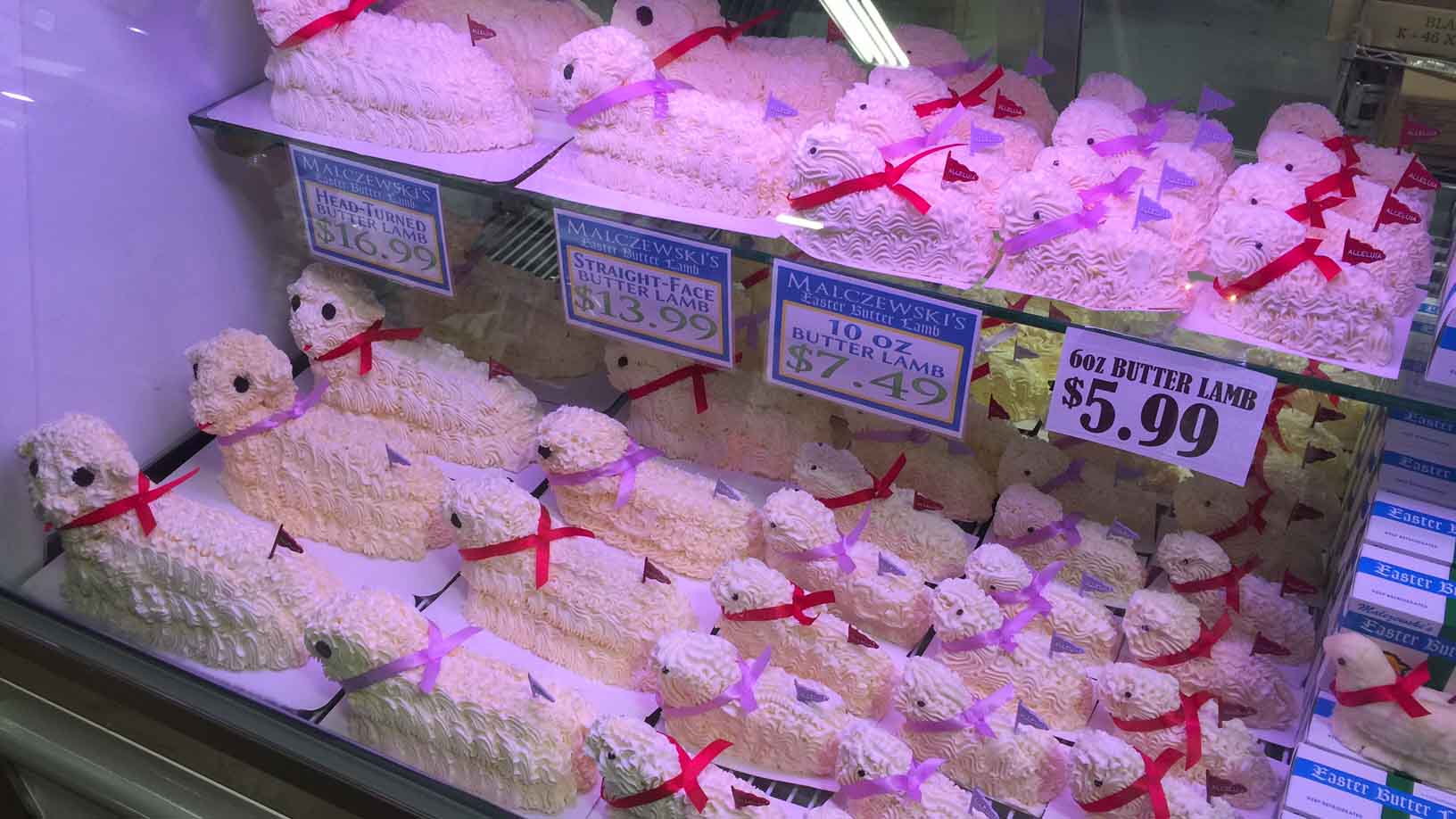 A display case showing an assortment of butter lambs at Malczewski's, a popular shop in Buffalo.