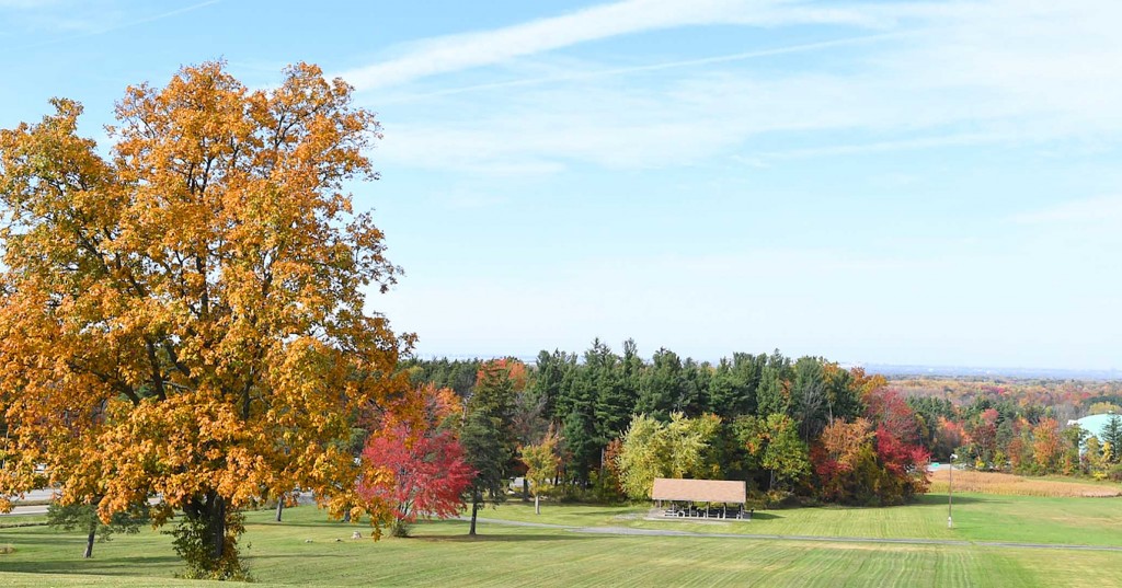 Chestnut Ridge Park