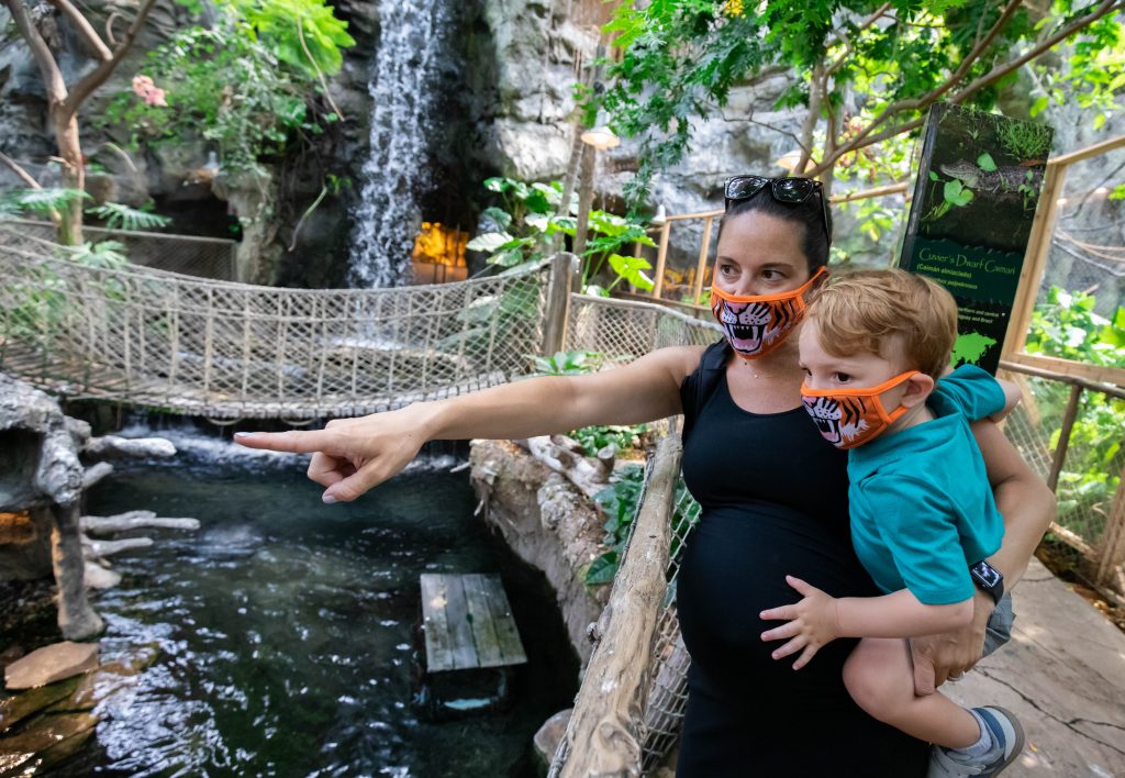 バッファロー動物園で熱帯雨林の滝