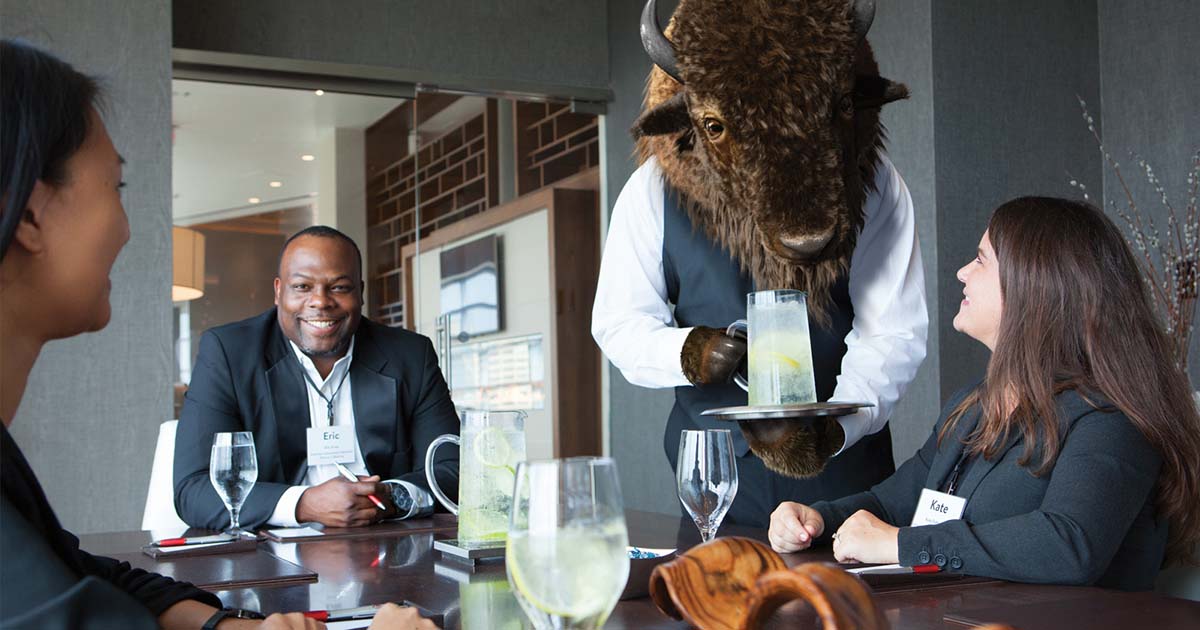 The unexpected buffalo at a meeting conference